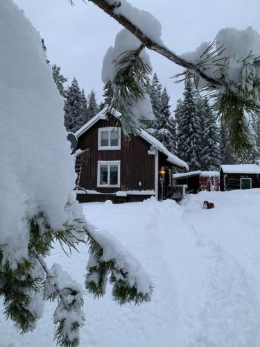 Holiday House in Lapland, Överkalix