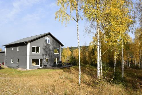 Large holiday house in Branäs