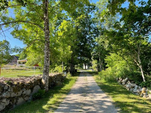 Cottage with beautiful nature, open landscape, forest and lakes